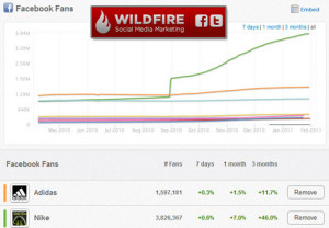 wildfire