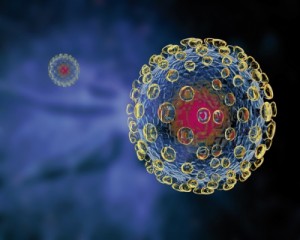 Influenza Version vom 14.07.2006